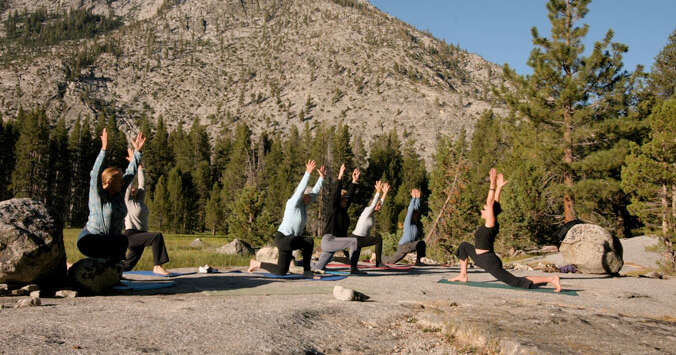dig-lead-health-wellness