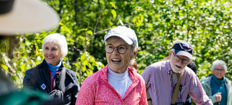 A group of senior hikers in the woods