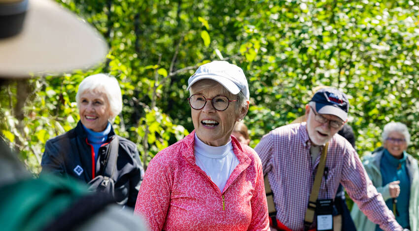 A group of senior hikers in the woods