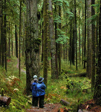 Olympic National Park