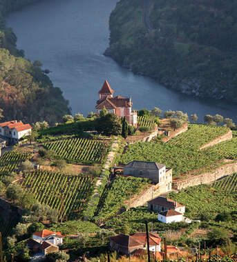 A scenic high-angle view of terraced vineyards and a red-roofed house overlooking the winding Douro River in the Douro Valley.