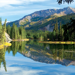Denali National Park, Alaska