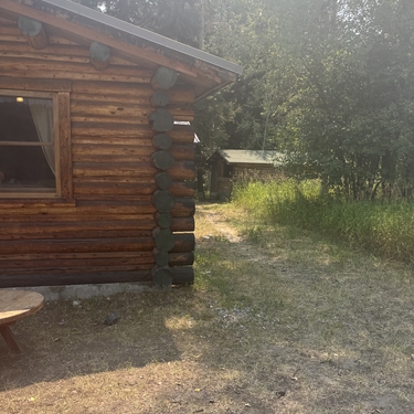 A log cabin stands next to a dirt path in the woods lined with grass