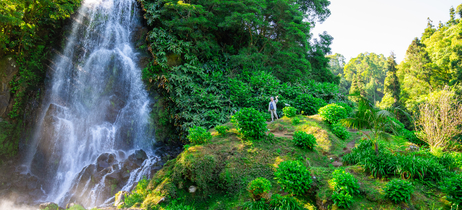 Waterfall cascades in lush green forest