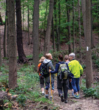 Choose Your Pace: A Grand Hiking Journey in Southern Ontario